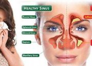 Nose Diseases: Types, Causes, and Treatments